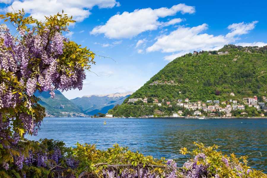 Como järv