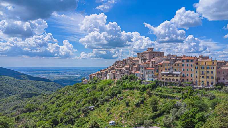 Orsini-Cesi-Borghese loss
